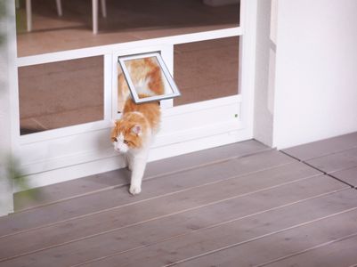 Katzenklappe Asset 0bd66af62f7eb2245beb9a0d6d609f91
