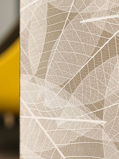 Skelettblatt von Organoid